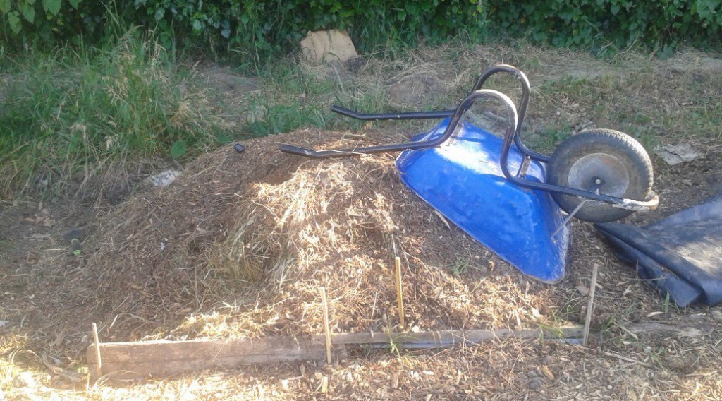 woodchip compost